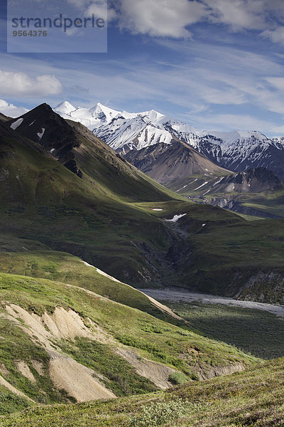 Vereinigte Staaten von Amerika USA Denali Nationalpark Alaska