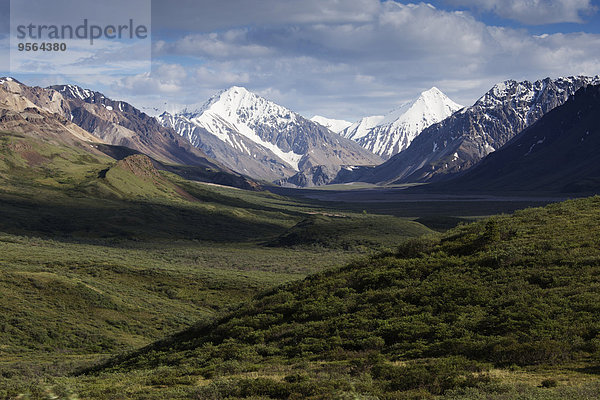 Vereinigte Staaten von Amerika USA Denali Nationalpark Alaska