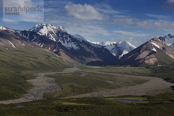 Vereinigte Staaten von Amerika USA Denali Nationalpark Alaska