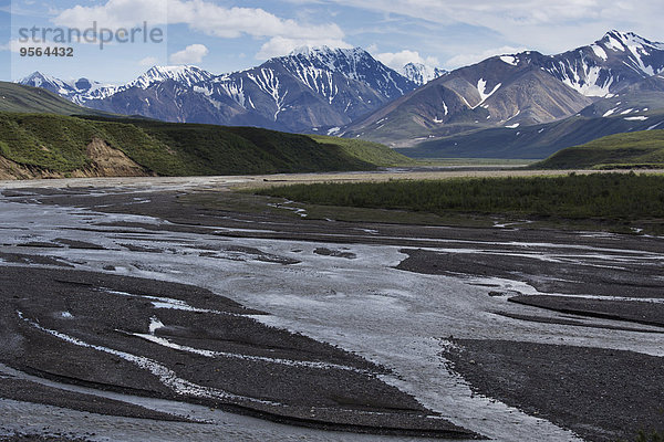 Vereinigte Staaten von Amerika USA Denali Nationalpark Alaska