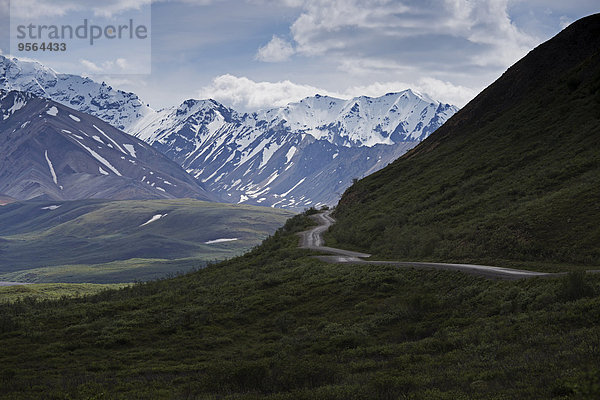 Vereinigte Staaten von Amerika USA Nationalpark Fernverkehrsstraße Denali Nationalpark Alaska