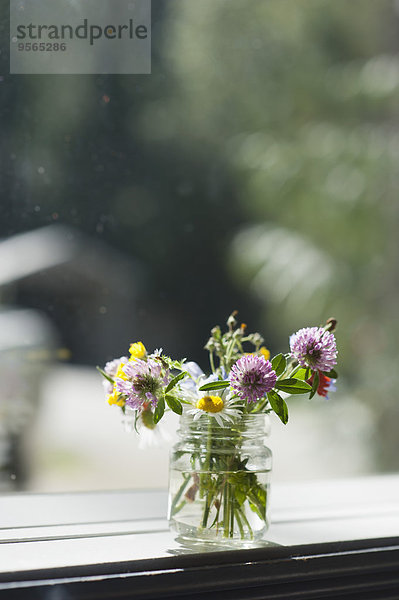 Blumenvase auf Fensterbank