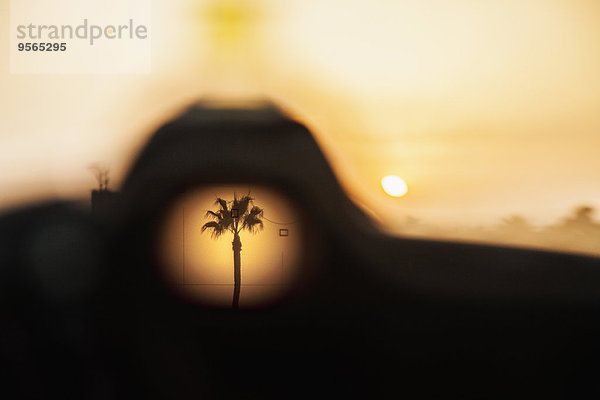 Palme bei Sonnenuntergang durchs Loch gesehen