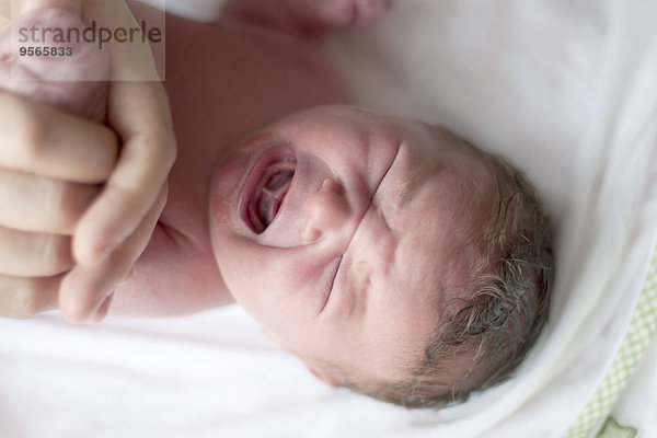 Neugeborenes Baby weint  Draufsicht
