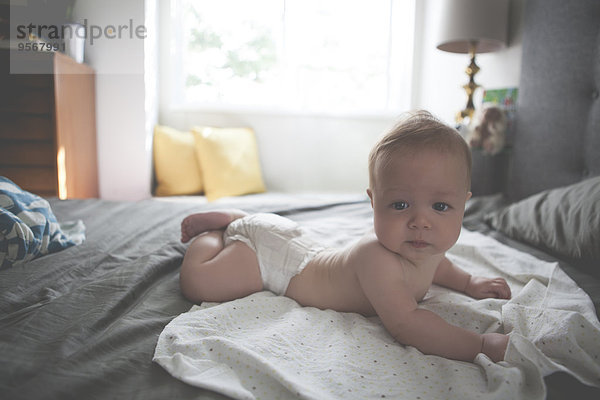 Porträt eines kleinen Babys  das auf einem gefleckten Tuch mit erhabenem Kopf liegt.