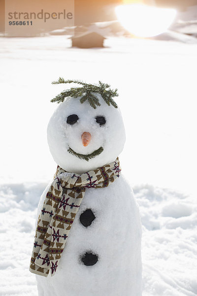 Schneemann im sonnigen Feld