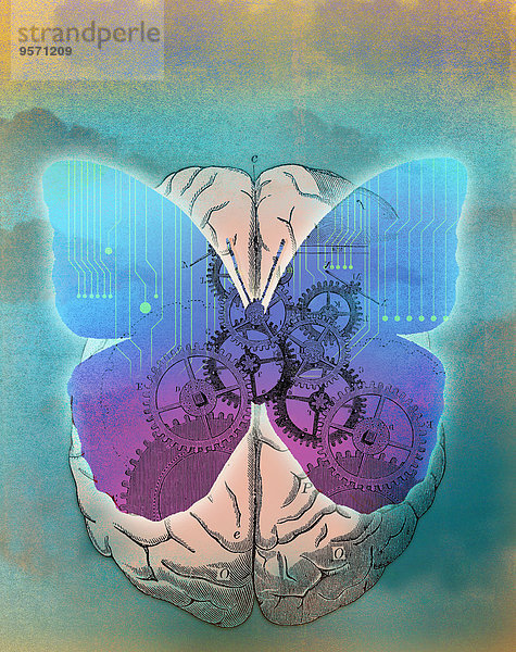 Schmetterling mit Zahnrädern und Platine auf menschlichem Gehirn