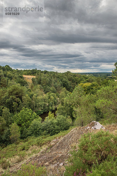 Laubwald Landschaft Wald Mythologie August Fee Spiegel Teich