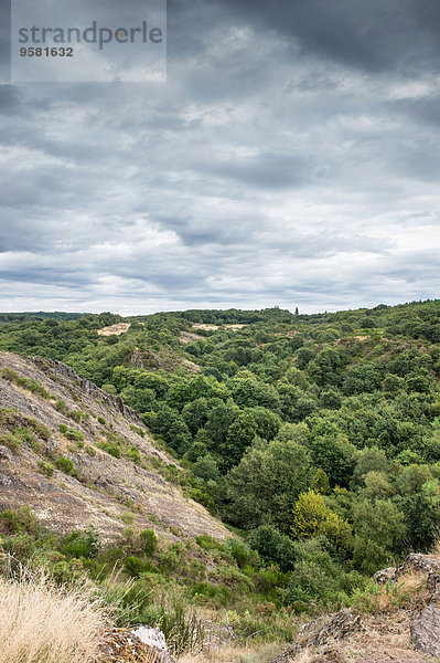 Laubwald Landschaft Wald Mythologie August Fee Spiegel Teich