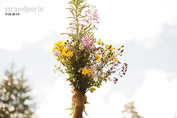 hoch oben Außenaufnahme Blumenstrauß Strauß Blume Junge - Person halten freie Natur