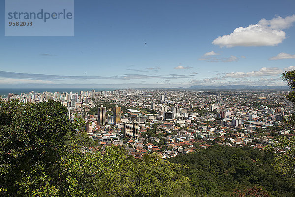 Stadtansicht Stadtansichten Baum Ignoranz Brasilien