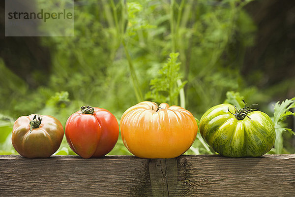 Farbaufnahme Farbe Außenaufnahme Tomate Geländer Erbe freie Natur