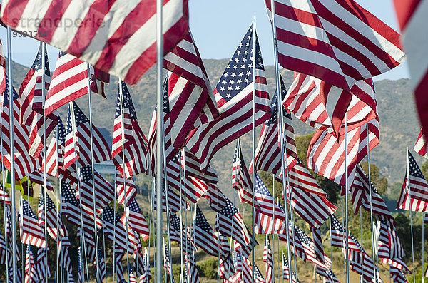 stehend Fahne Feld amerikanisch