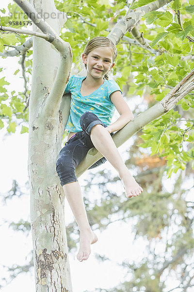 Außenaufnahme Europäer lächeln Baum Mädchen klettern freie Natur