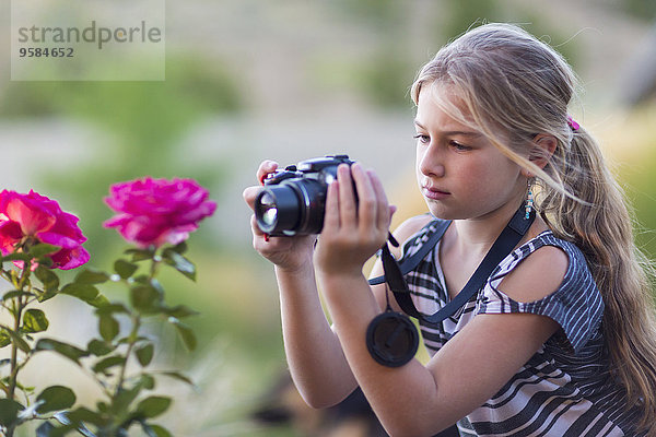 Außenaufnahme Europäer Blume fotografieren Mädchen freie Natur