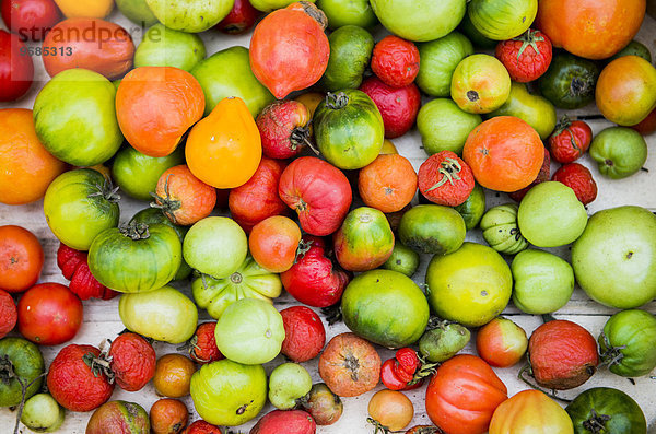 Fülle Vielfalt Close-up Tomate