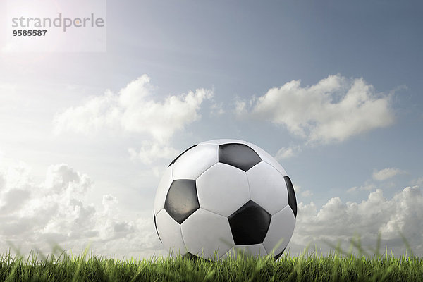 Close-up Fußball Gras Ball Spielzeug