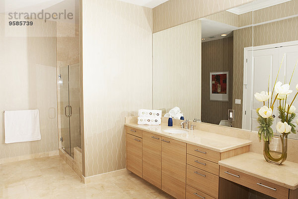 Spülbecken Badezimmer Dusche Spiegel modern