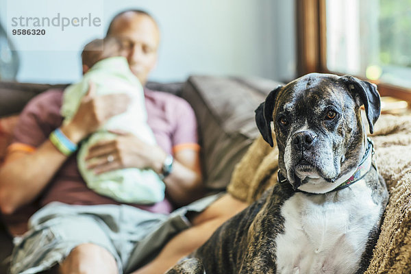 sitzend Europäer Couch Junge - Person Menschlicher Vater Hund Baby