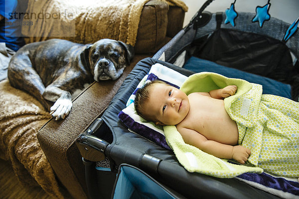 nahe Europäer lächeln Junge - Person schlafen Hund Baby Gitterbett