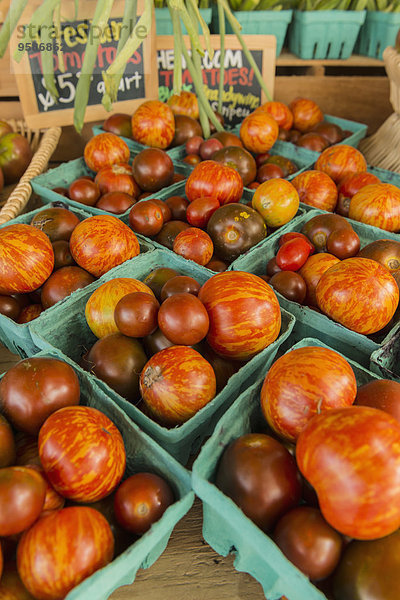 Vielfalt Tomate Landwirtin Markt