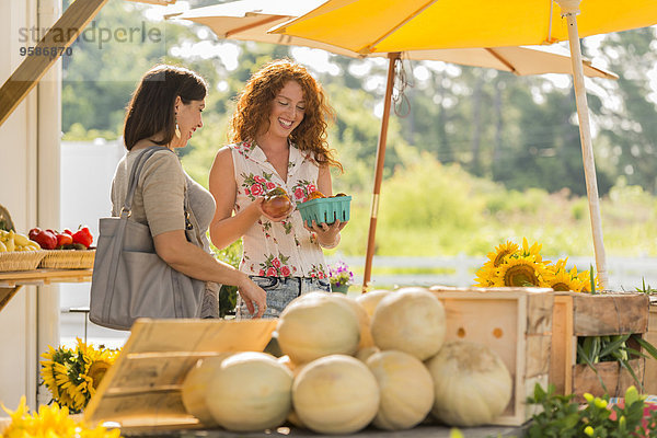 Frau Frucht blättern Landwirtin Markt