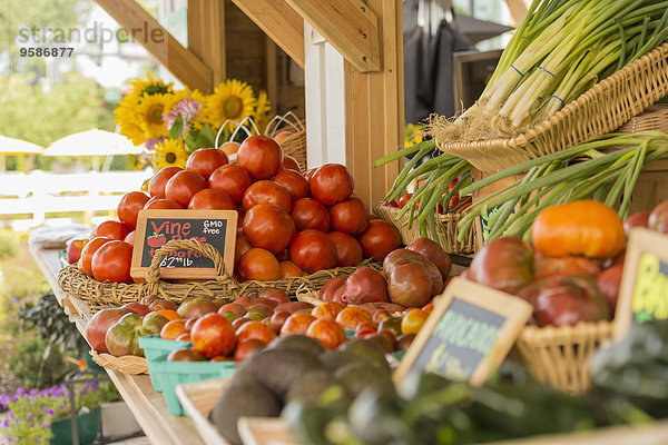 Produktion Landwirtin Markt