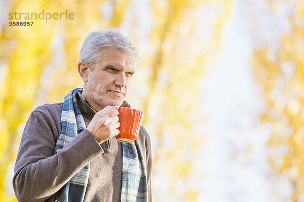 nahe Europäer Mann Baum Herbst trinken Kaffee alt