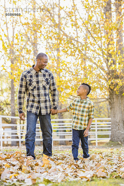 Menschlicher Vater Sohn halten Laub