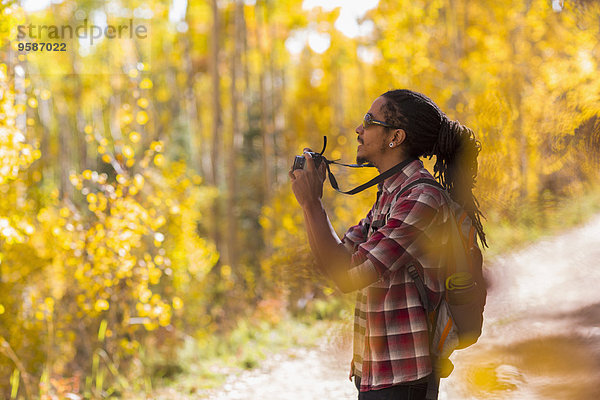 Fotografie nehmen Wald mischen wandern Mixed