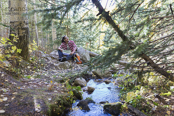 ruhen Wald mischen wandern Mixed