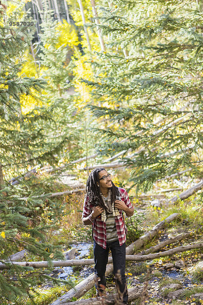 Mann Wald mischen wandern Mixed