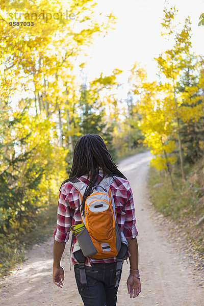 Mann Wald mischen wandern Mixed