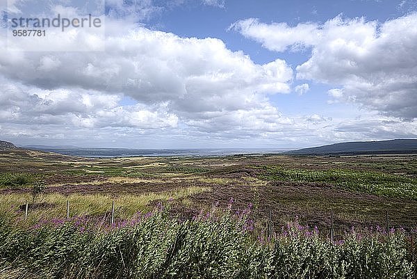 UK  Schottland  Blick über die Heidelandschaft nach Dornoch Firth