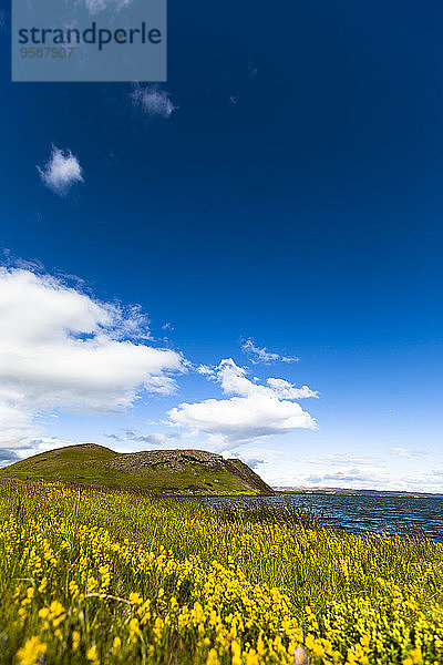 Island  Skutustadir  Krafla-Vulkangebiet  Myvatn  Pseudokrater