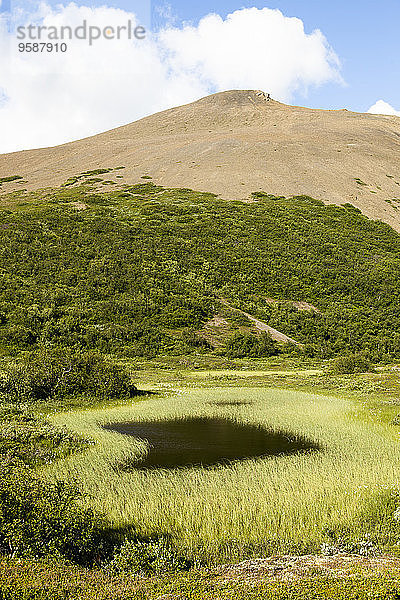 Island  Skutustadir  Krafla-Vulkangebiet  Pseudokrater bei Myvatn