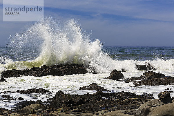 USA  Kalifornien  Sonoma County  Pazifikküste  Salt Point State Park  Gerstle Cove  Wave  Tafoni  Sandstein