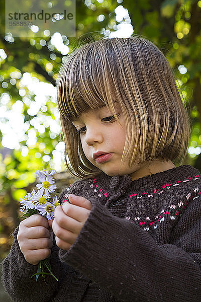 Porträt eines kleinen Mädchens mit wilder Chrysantheme