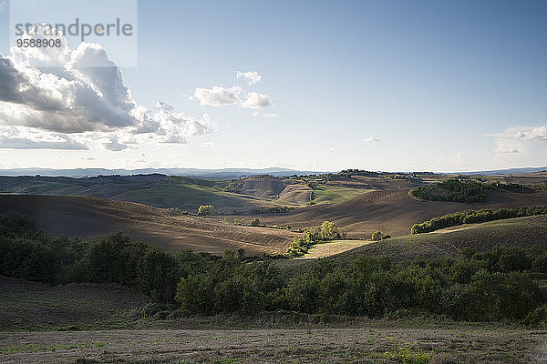 Italien  Toskana  Kreta Senesi  Landschaft im Herbst