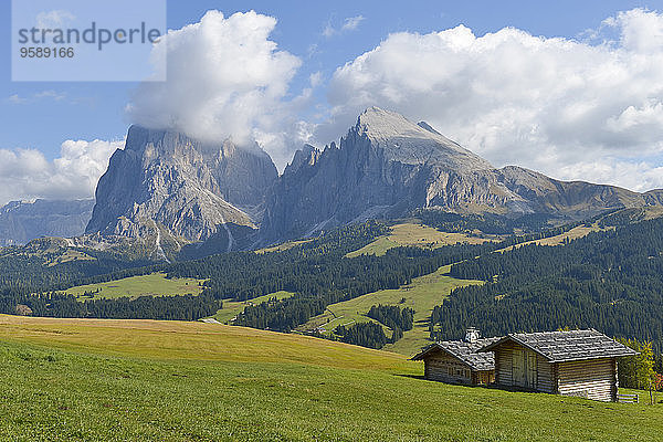 Italien  Südtirol  Dolomiten  Seiser Alm und Langkofel Gruppe