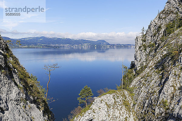 Österreich  Oberösterreich  Salzkammergut  Traunsee mit Altmünster