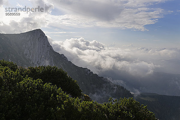 Österreich  Oberösterreich  Salzkammergut  Alberfeldkogel