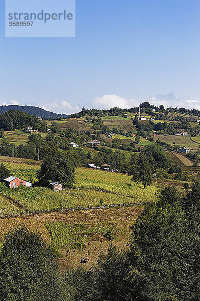 Türkei  Schwarzmeerregion  Pontisches Gebirge  Provinz Ordu  Dorf bei Akkus