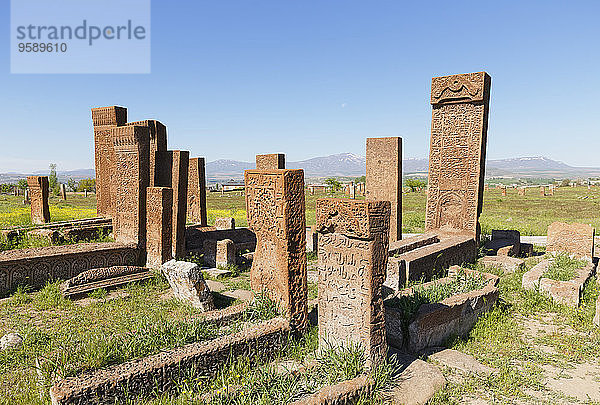 Türkei  Anatolien  Region Ostanatolien  Provinz Bitlis  Ahlat  Seldschukischer Friedhof  Selcuklu Mezarligi  Grabsteine