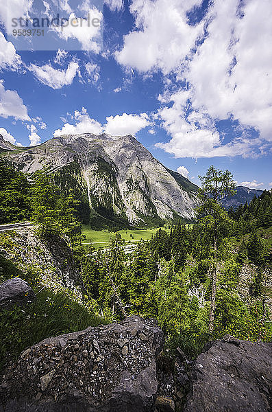 Österreich  Tirol  Karwendelgebirge  Blick auf Engalm