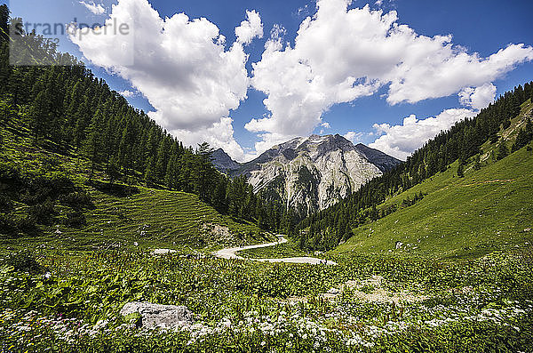 Österreich  Tirol  Karwendelgebirge  Eng Alp