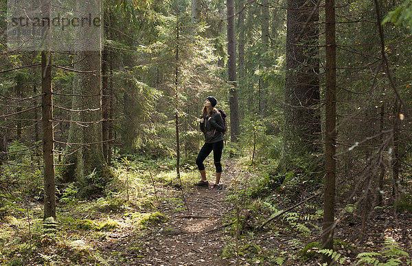 Frauen-Trekking durch den Wald  Helsinki  Finnland