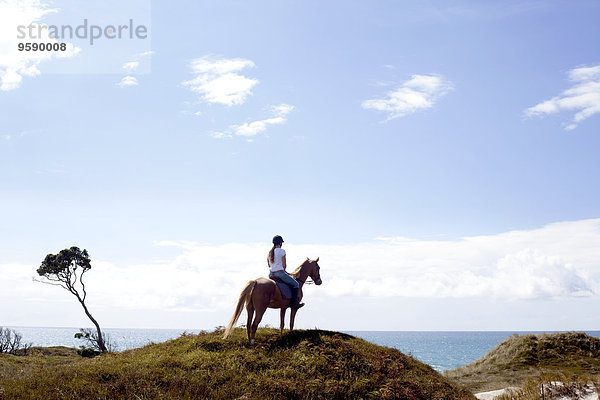 Reiter auf dem Hügel  Pakiri Beach  Auckland  Neuseeland