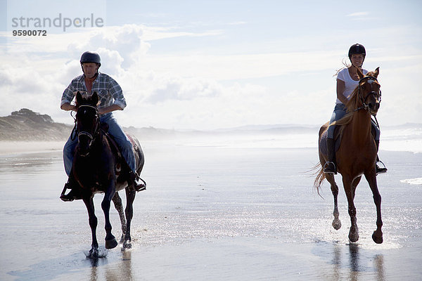Pferdereiter im Galopp  Pakiri Beach  Auckland  Neuseeland