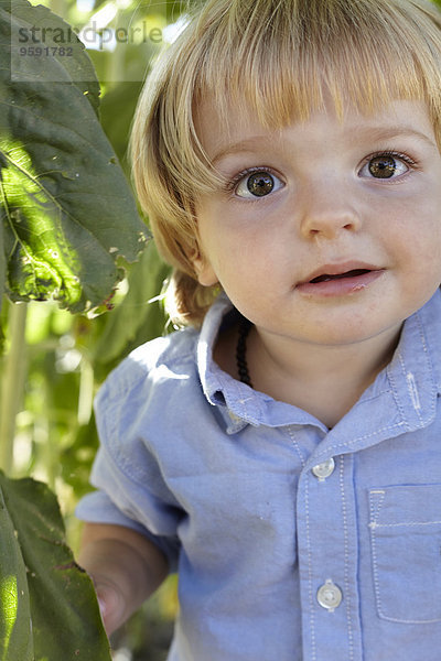 Portrait eines männlichen Kleinkindes unter Sonnenblumenblättern